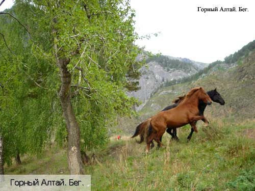 Республика Алтай