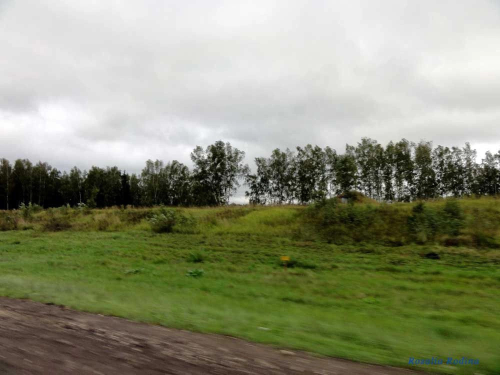 Боровский район