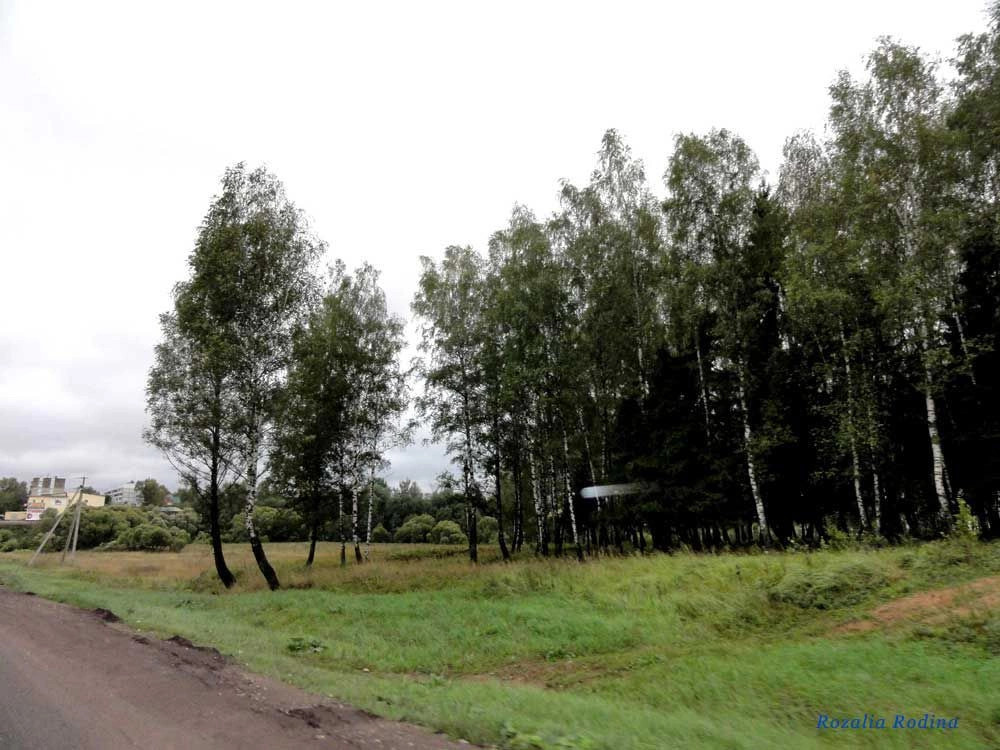 Боровский район
