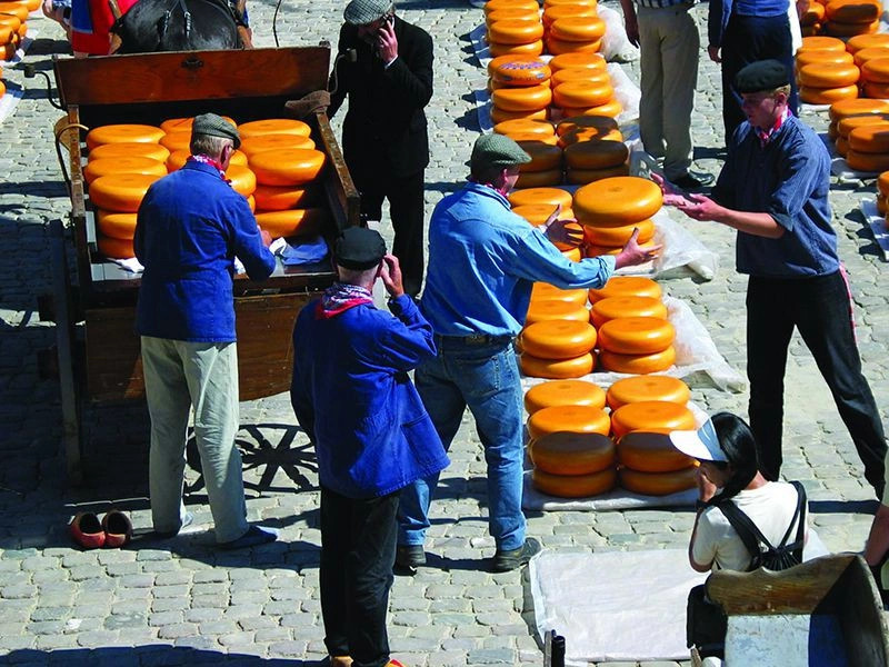 Южная Голландия