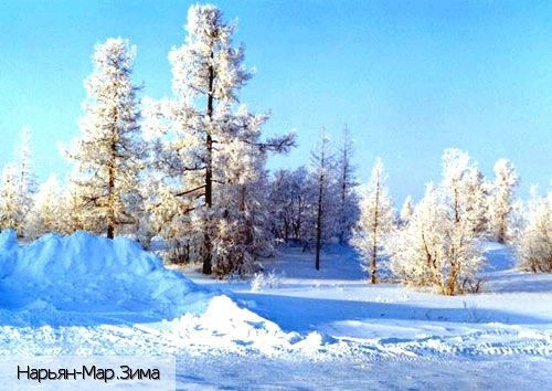 Ненецкий авт.округ