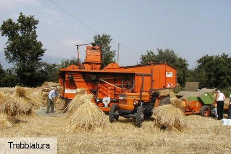 Фаэтано