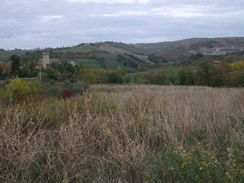 Вальджурата