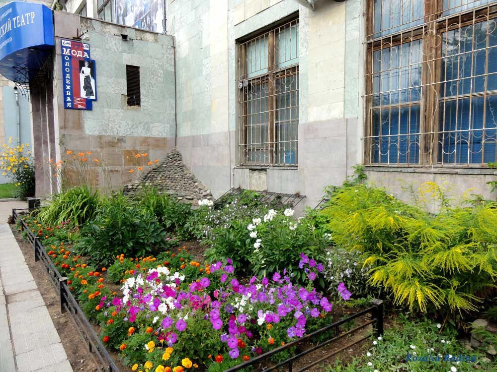 Кострома город
