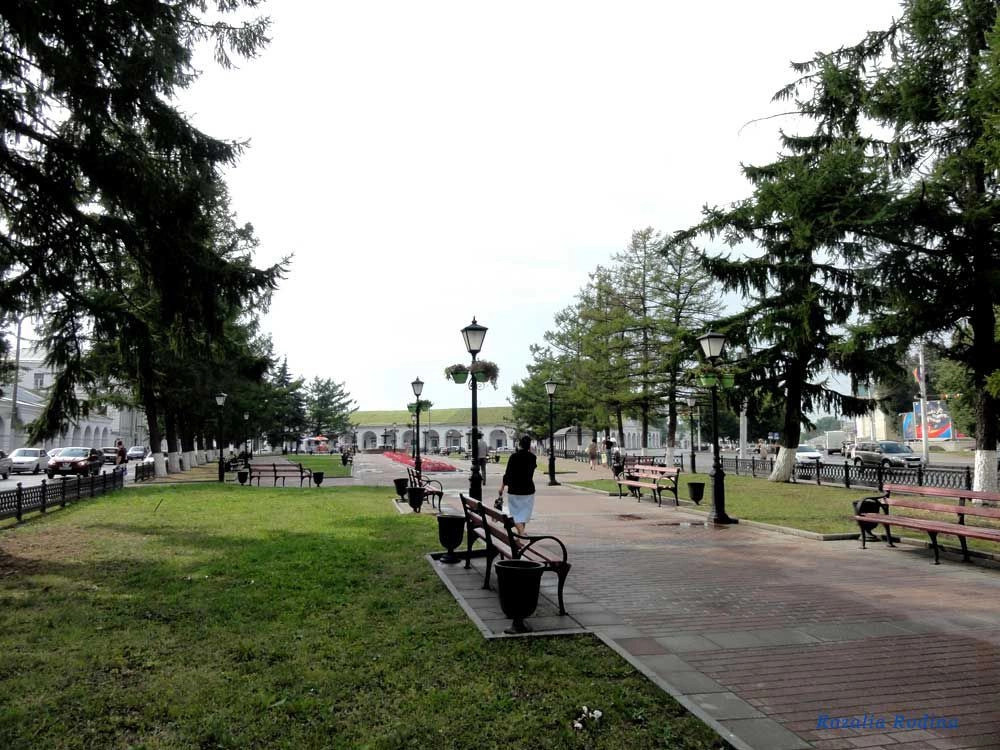 Кострома город