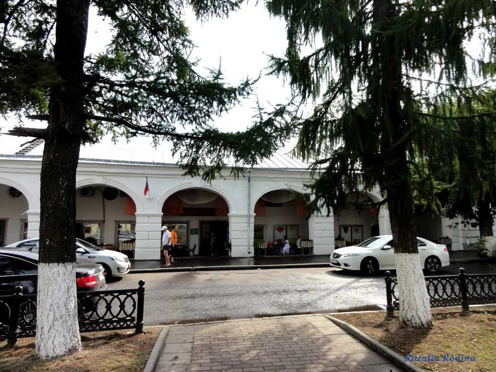 Кострома город
