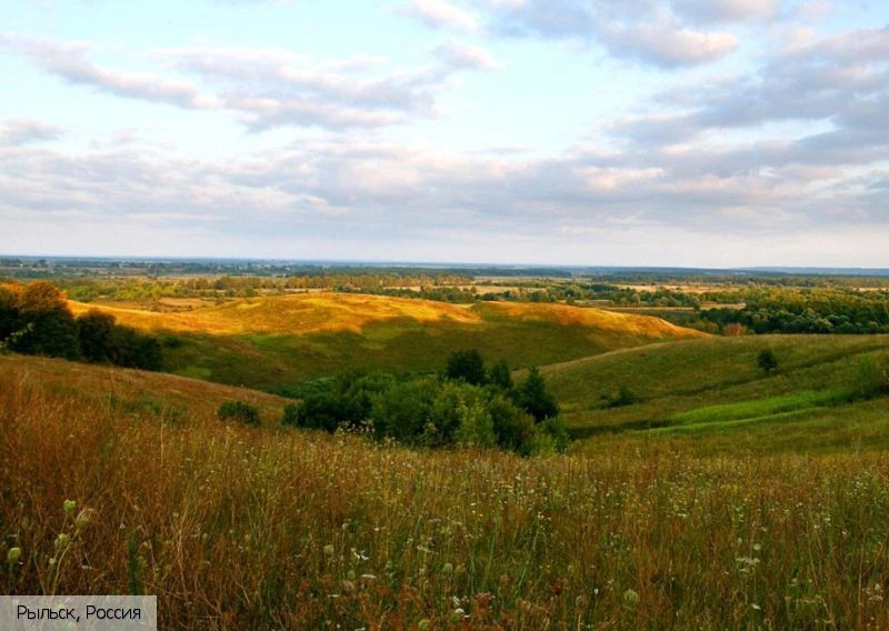 Курская обл.