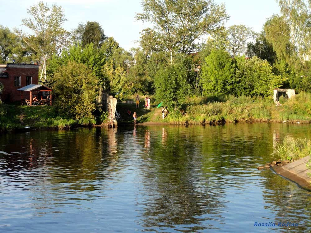Городское поселение Дмитров
