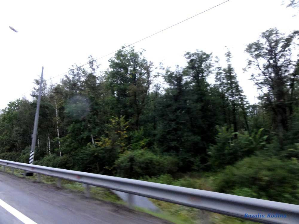 Киевский городское поселение