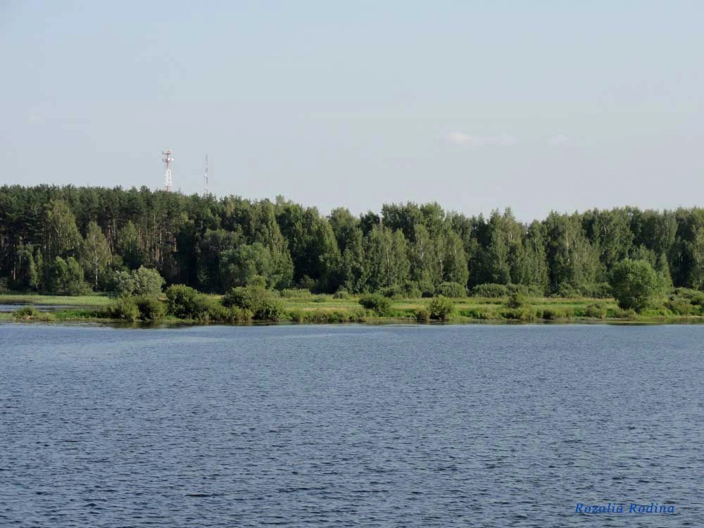 Ярославская обл.