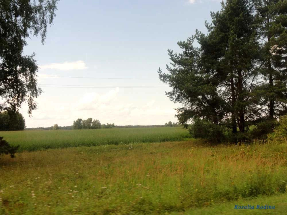 Нижегородская область