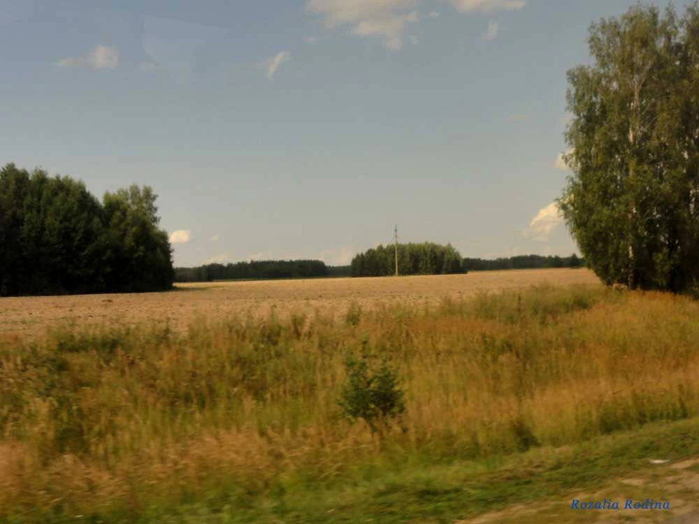 Пестово деревня (Городецкий р-н)