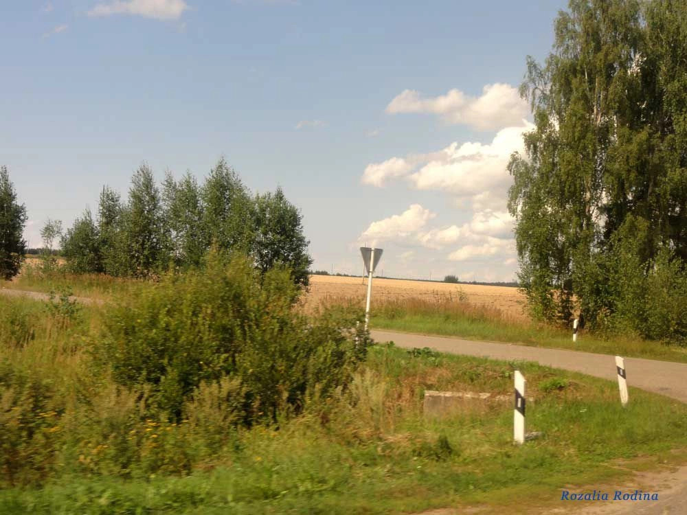 Пестово деревня (Городецкий р-н)