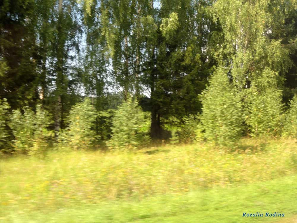 Пестово деревня (Городецкий р-н)