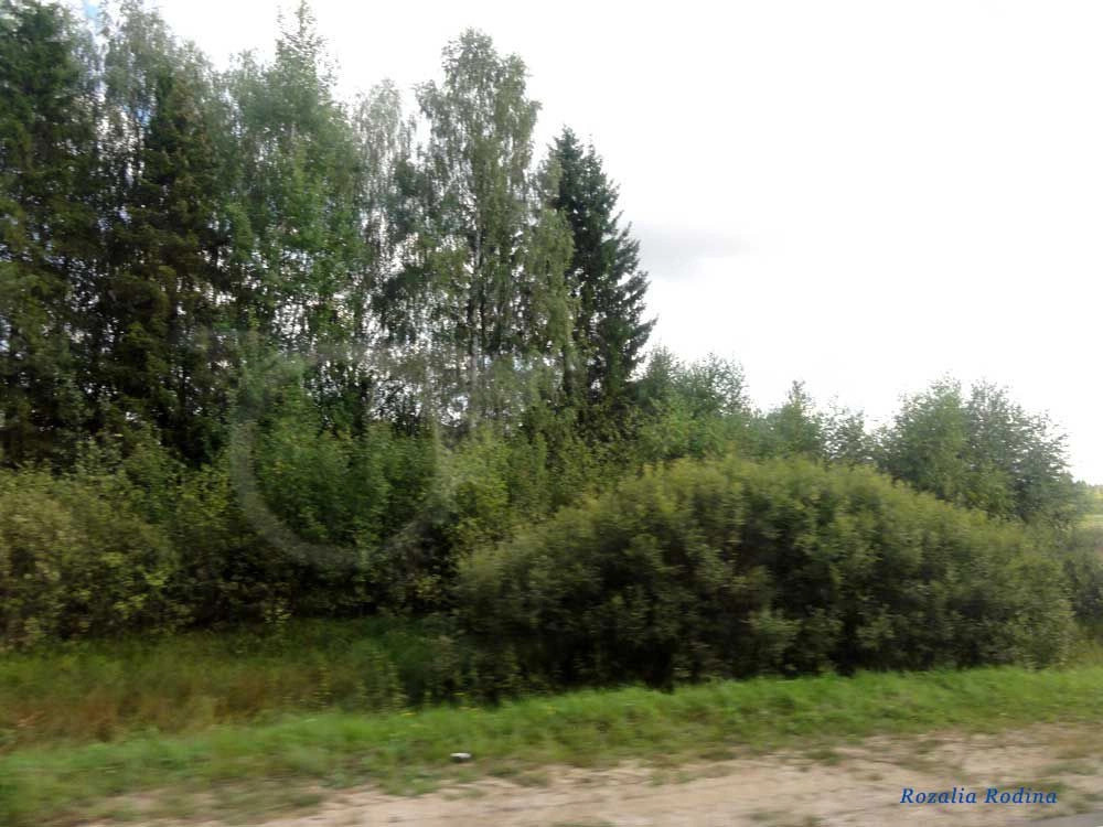 Романово деревня (Городецкий р-н)