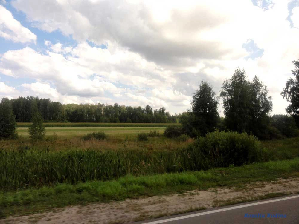 Романово деревня (Городецкий р-н)