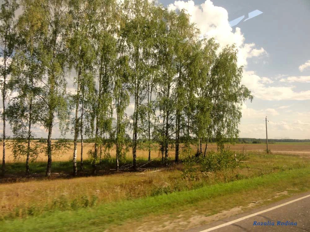 Нижегородская область