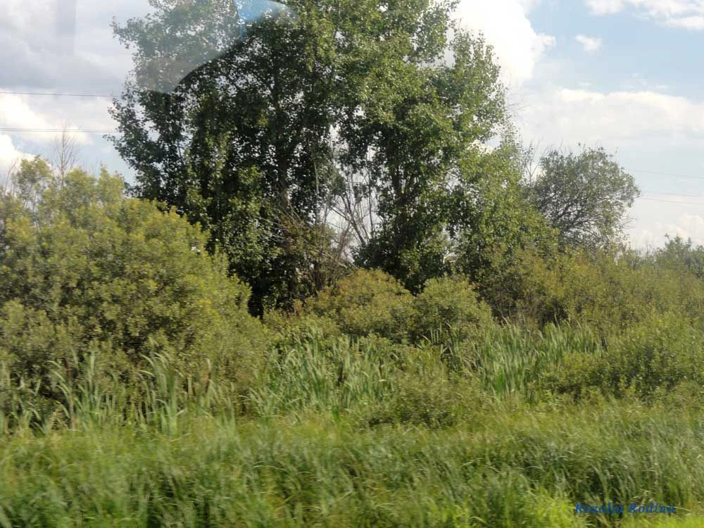 Повалихино деревня (Городецкий р-н)