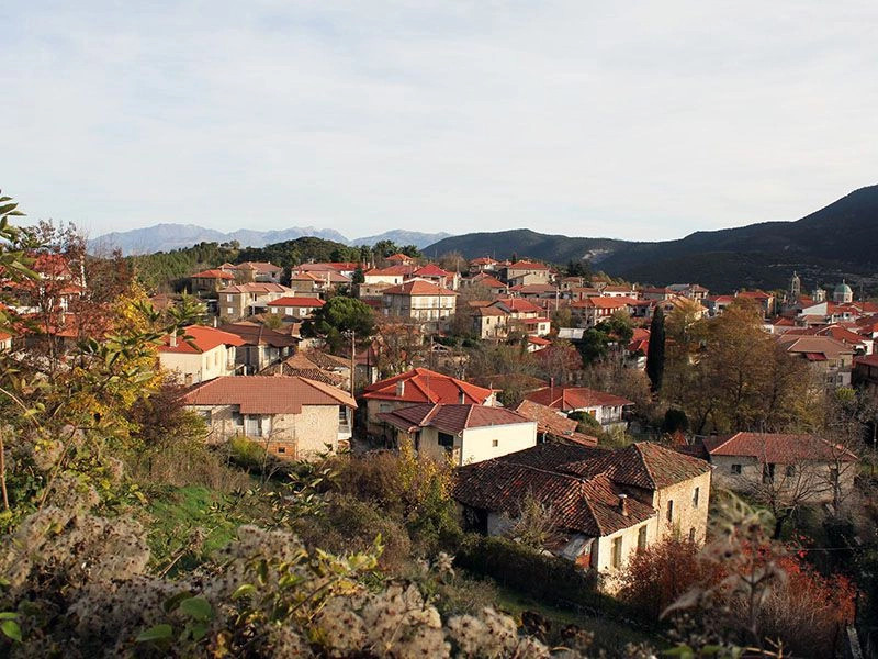Витина
