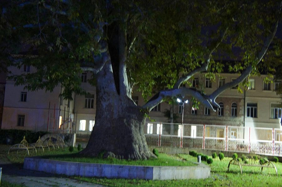 Кутаиси