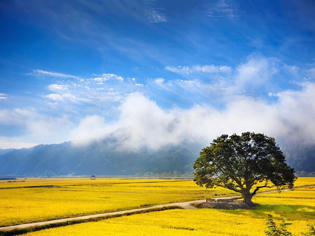 Чхунчхон-Пукто