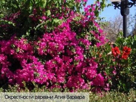 Агия Варвара (Ласити)