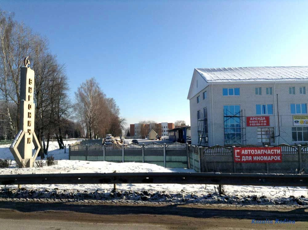Выгоничи село