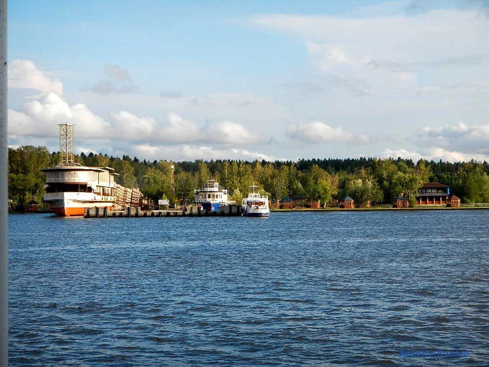 Водники