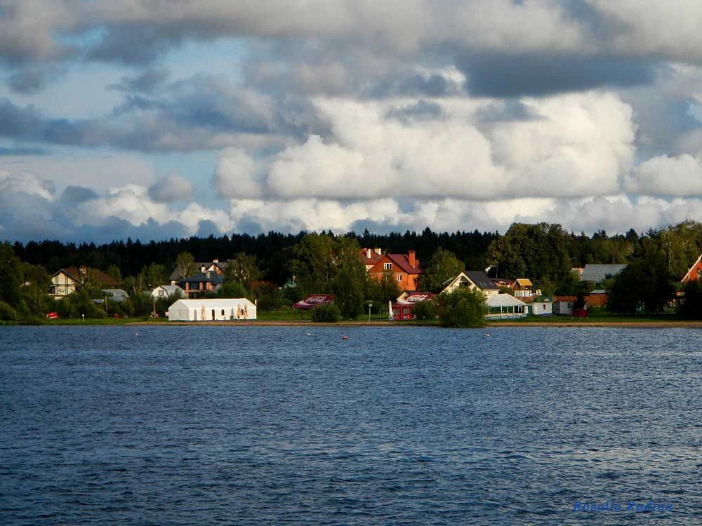 Водники