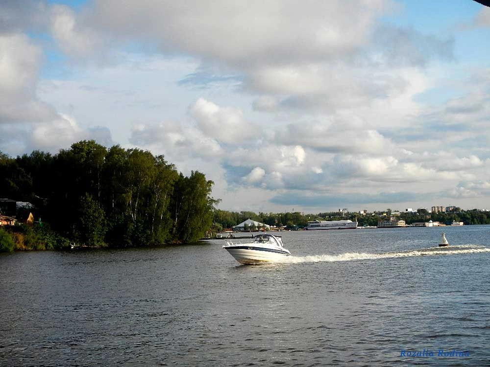 Водники