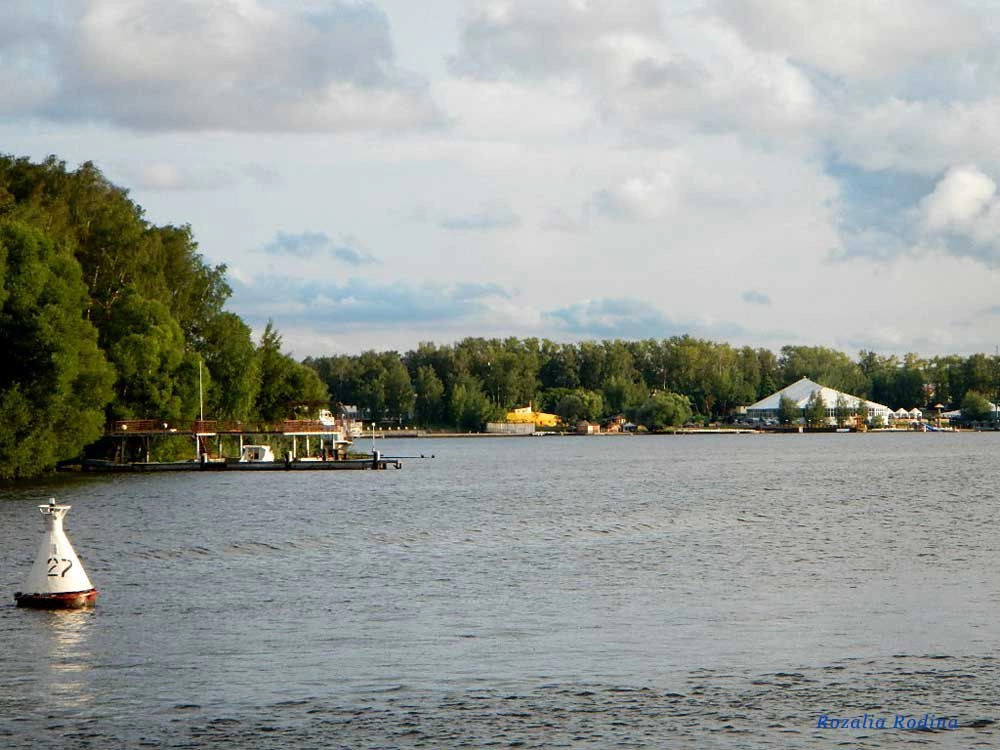 Водники