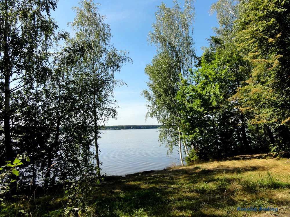 Мытищинский район