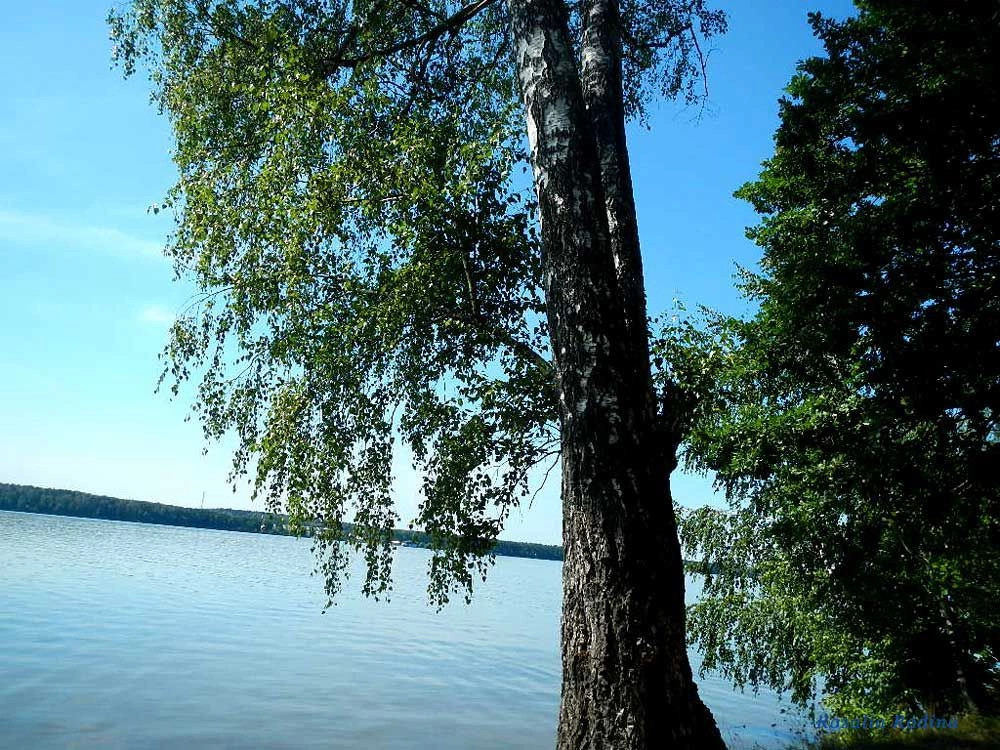 Пестовское водохранилище