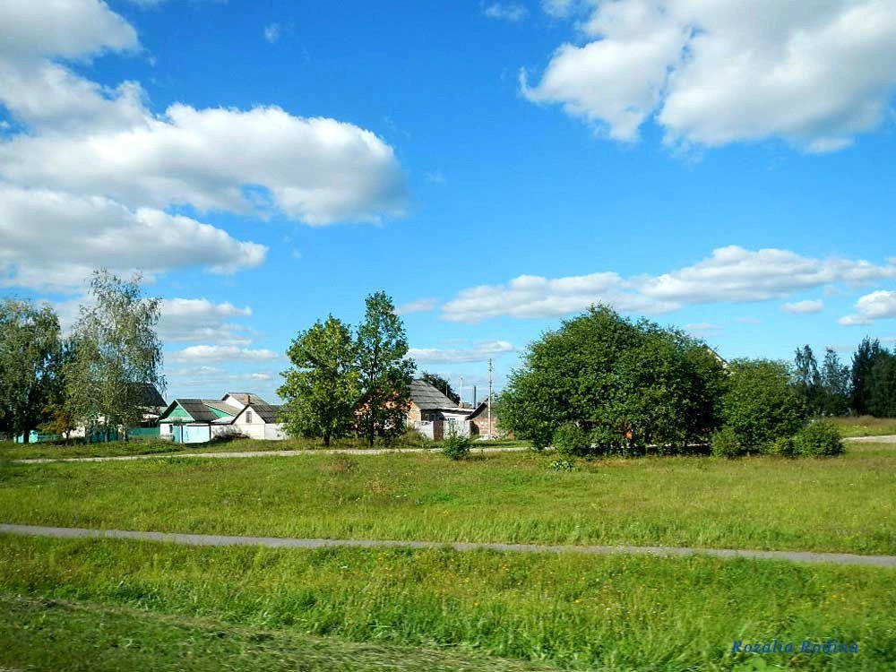 Гомельский район