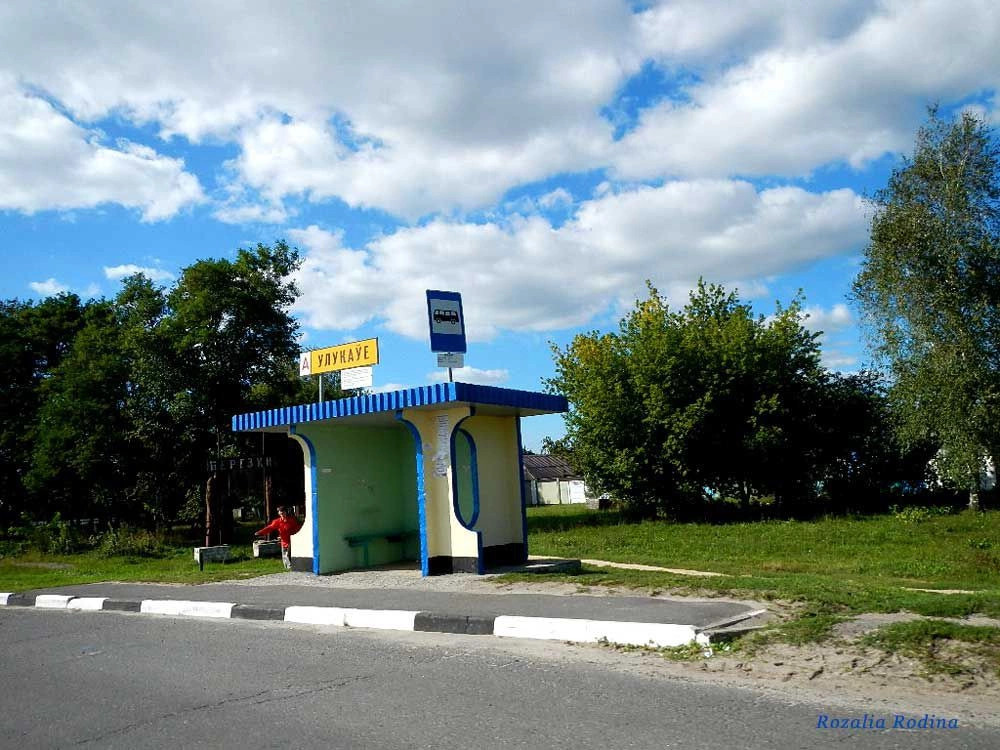 Гомельский район