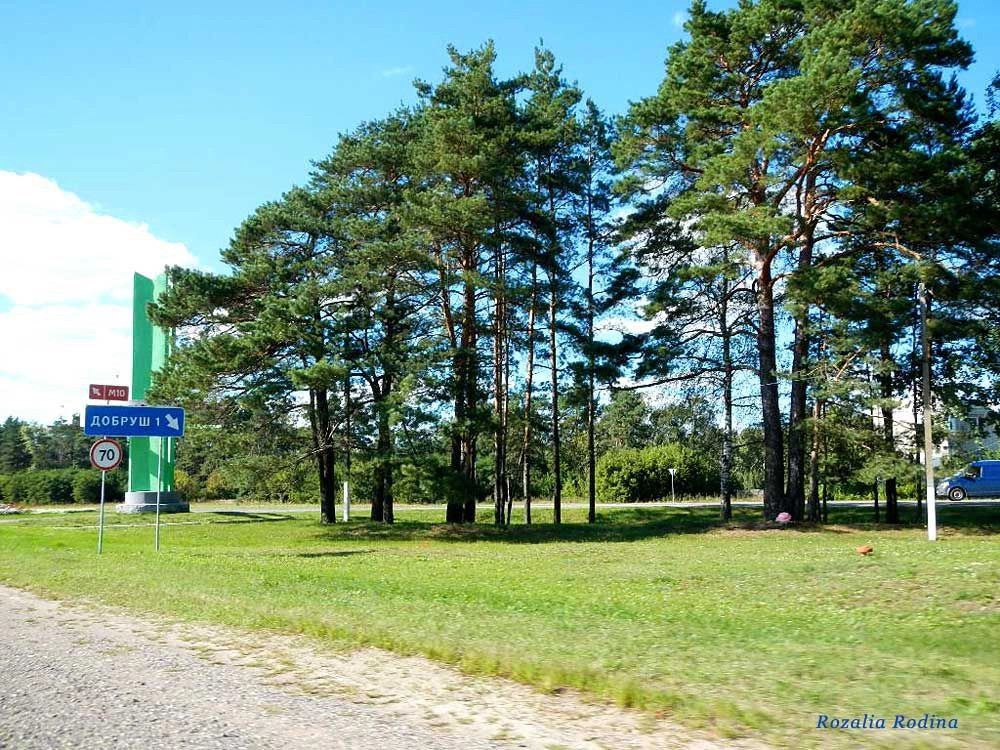 Добрушский район