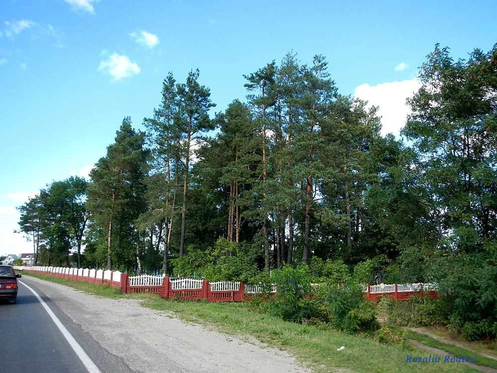 Добрушский район