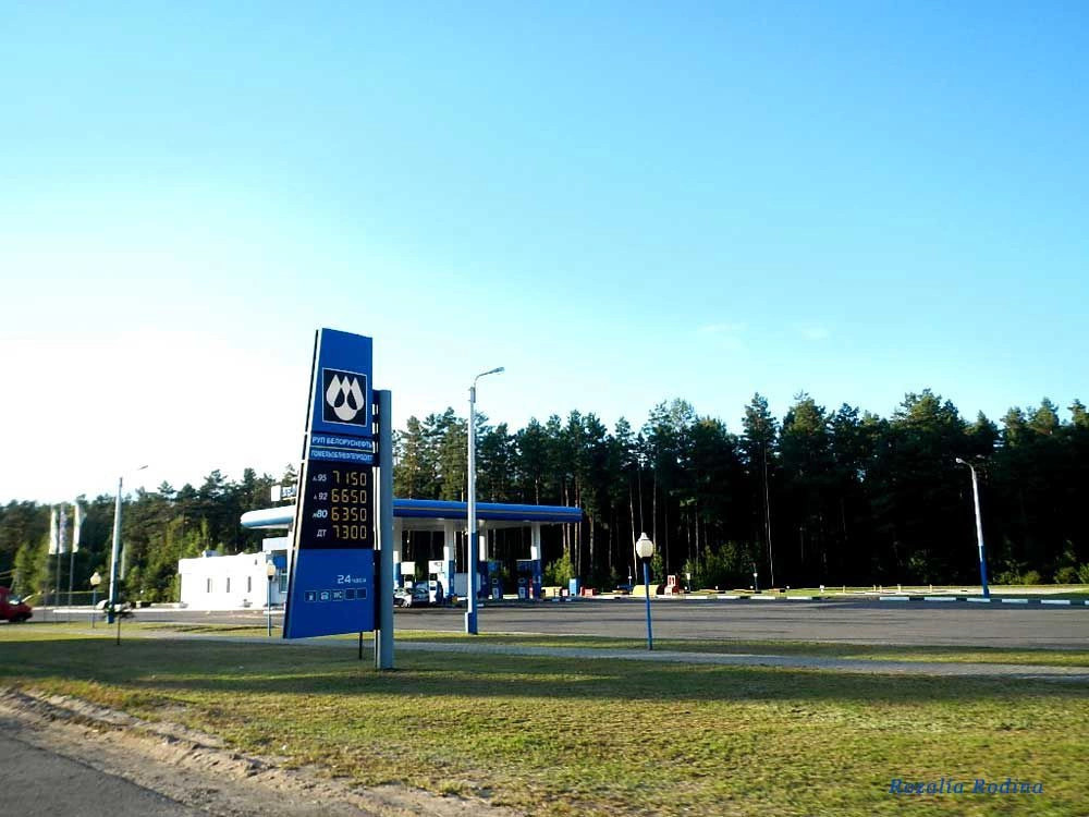 Ельский район