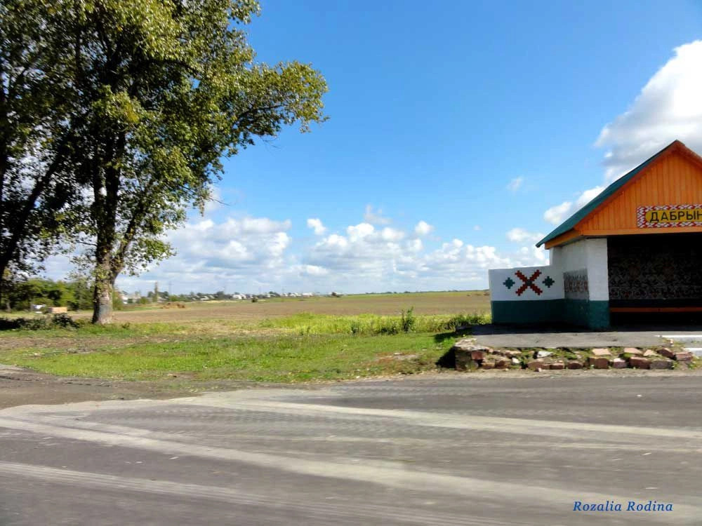 Ельский район