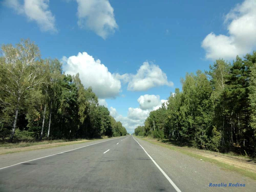 Ельский район