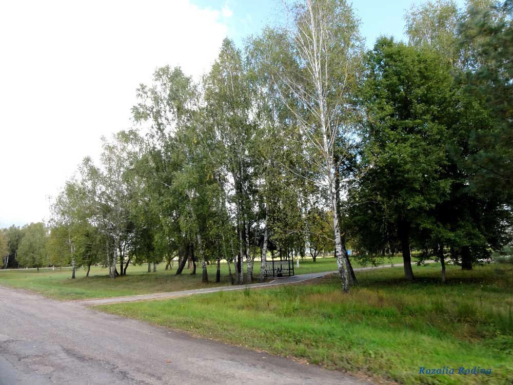 Мозырский район