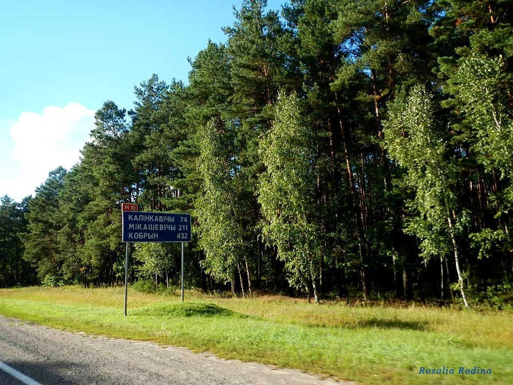 Речицкий район