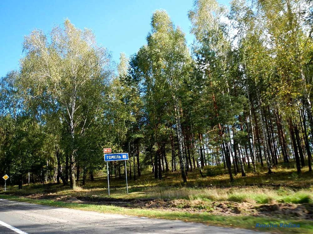 Речицкий район