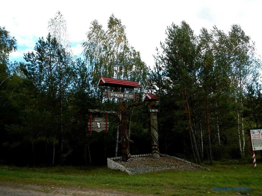 Речицкий район
