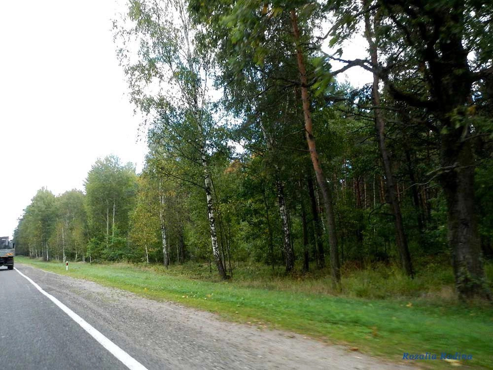 Речицкий район