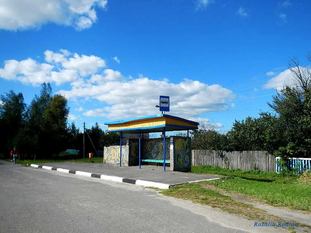 Головинцы
