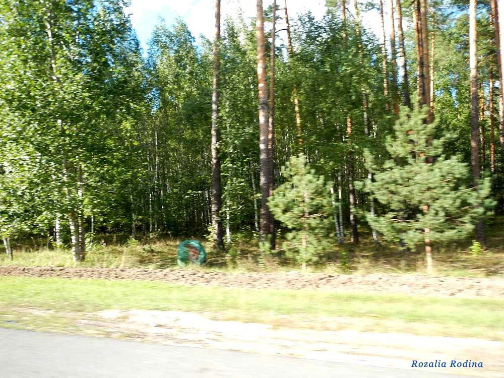 Щербовка