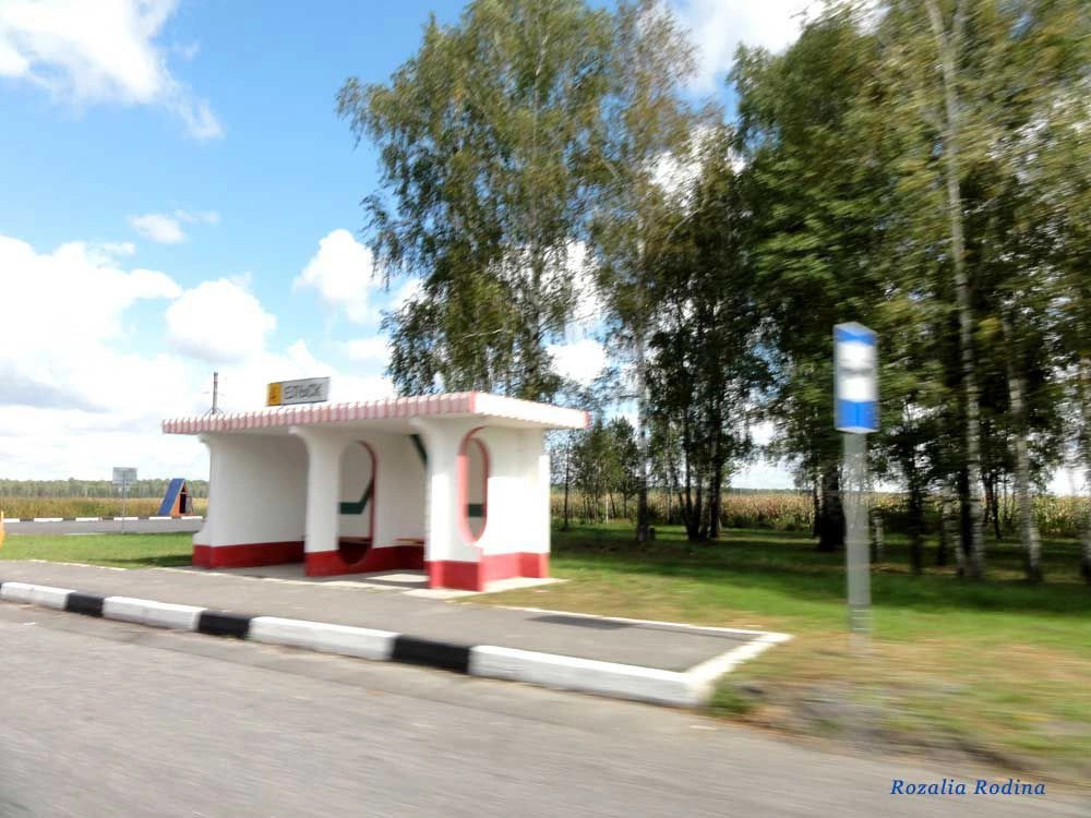 Ельский район