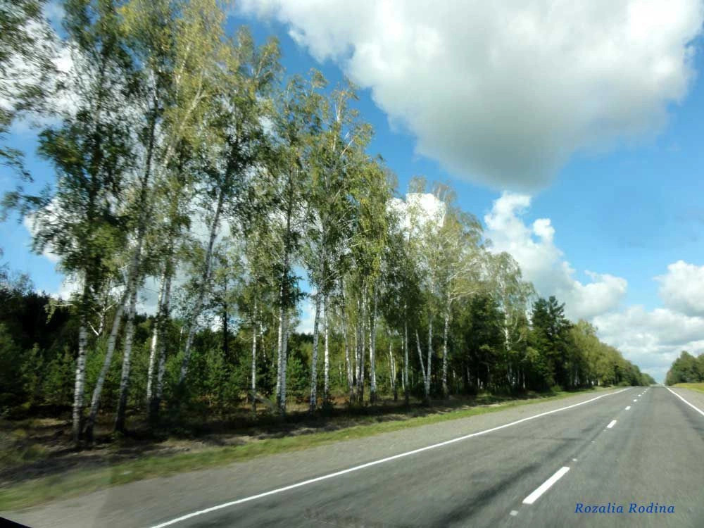 Ельск
