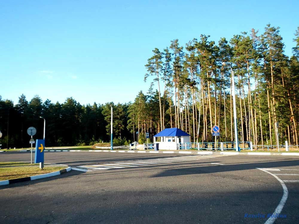 Добрынь (Ельский р-н)